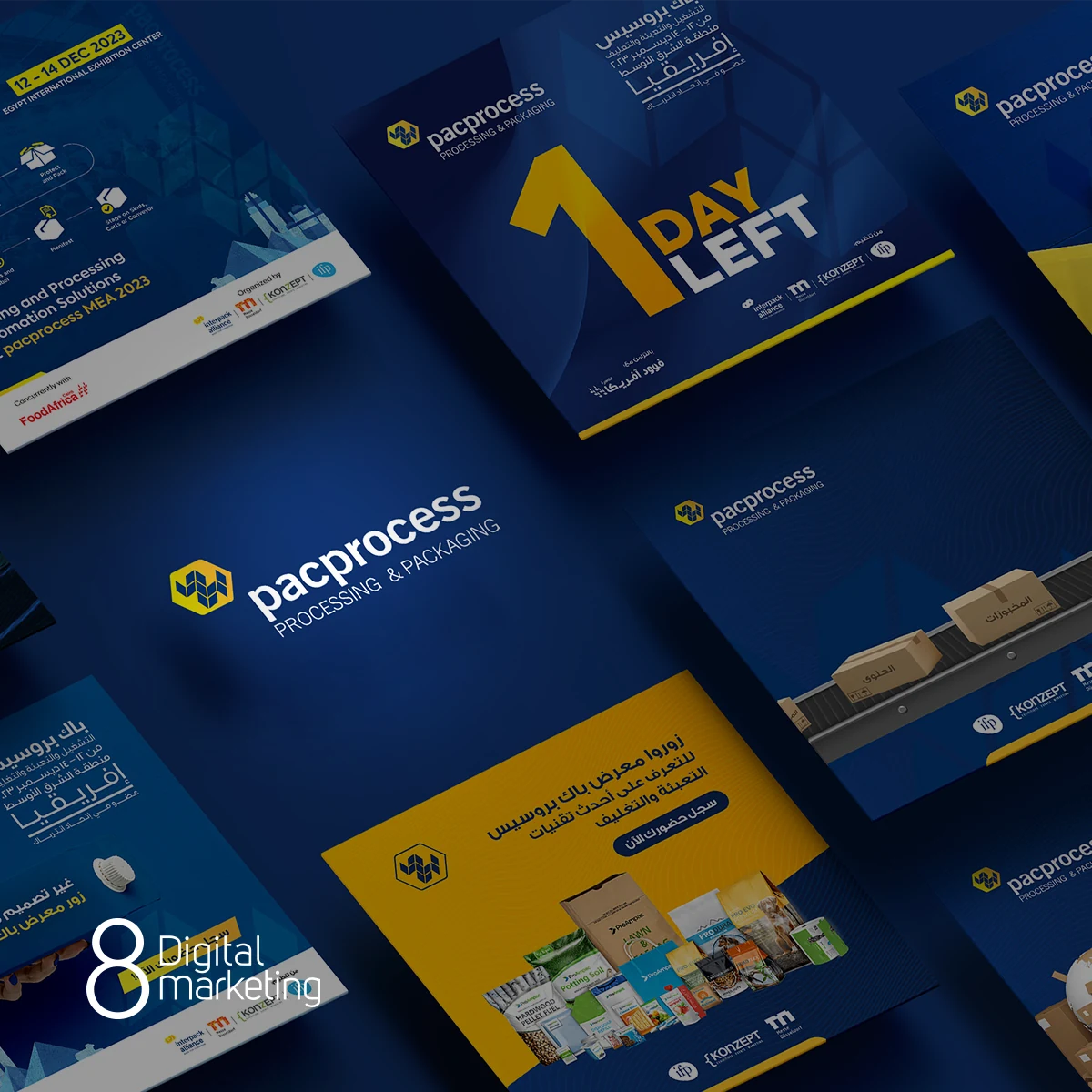 PAC Process — Social Media project by 8 Digital Marketing Agency